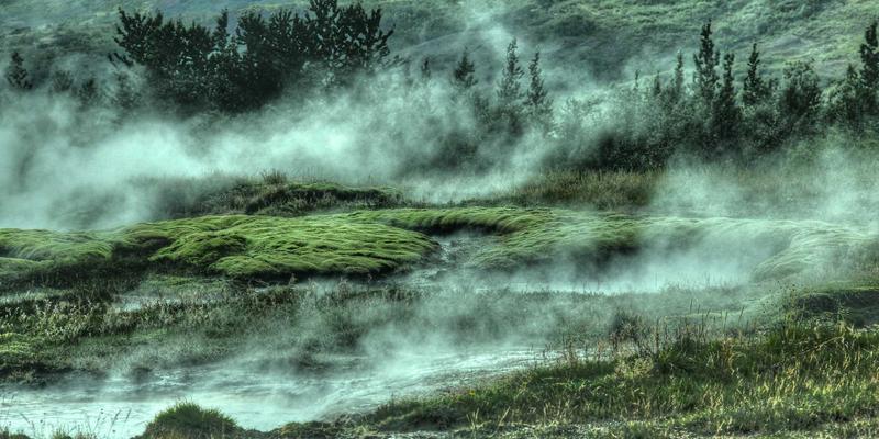 告别996！四大网络自动化运维工具深度对比与实战部署指南